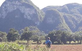 Casa Yolanda Y Tomas Hotel Vinales Exterior photo