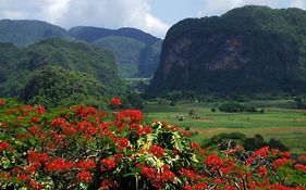 Casa Alexander Maqueira "Papito" Hotel Vinales Exterior photo