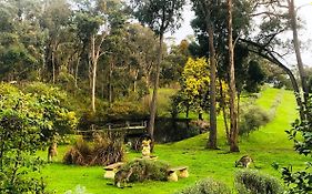 Countryside Retreat Romantic Tranquil Native Wildlife Township Hepburn - Daylesford Hepburn Springs Exterior photo