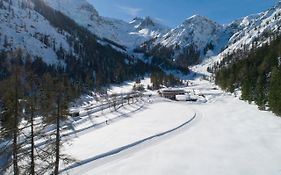 Alpengasthof Gern Alm Hotel Pertisau Exterior photo