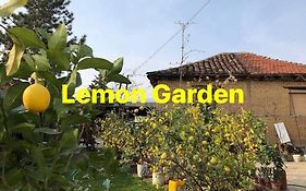 Lemon Garden Hostel Skopje Exterior photo