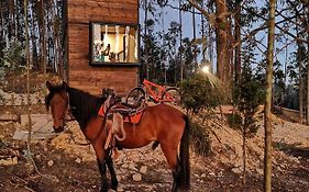 El Bosque De Paipa Hotel Exterior photo