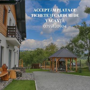 Maramures Landscape Villa Moisei Exterior photo