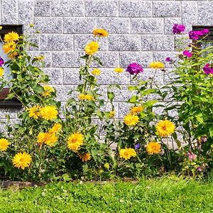 Apartment With Garden View In The Erzgebirge Pohla Exterior photo