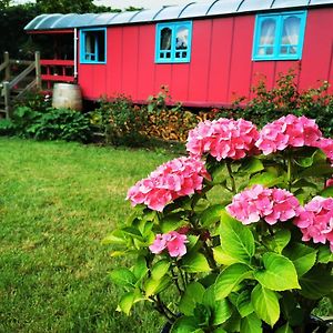 La Maison Des Oiseaux. Roulotte Bed & Breakfast Achicourt Exterior photo