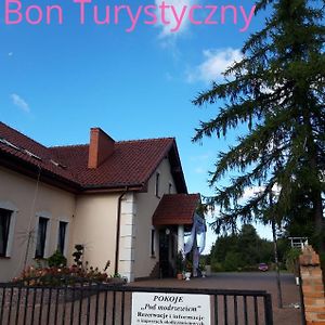 Pensjonat Agroturystyczny Pod Modrzewiem Bed & Breakfast Florczaki Exterior photo