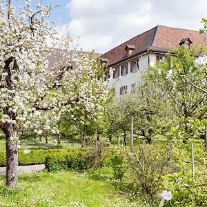 Kloster Dornach / Basel Hotel Exterior photo