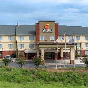 Comfort Inn & Suites Millbrook-Prattville Exterior photo