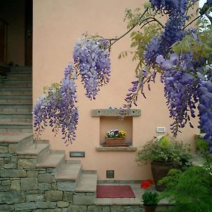 Il Glicine Bed & Breakfast San Dorligo della Valle Exterior photo