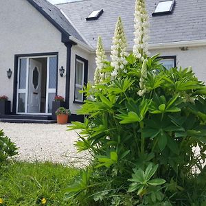 An Charraig Ban On The Wild Atlantic Way F94Wt02 Bed & Breakfast Ardara Exterior photo