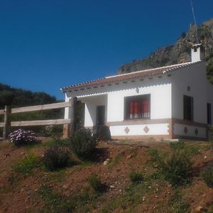La Solana De Turon. La Coscoja. Villa Ardales Exterior photo
