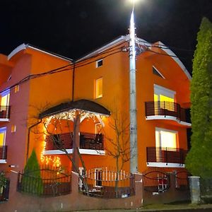 Casa Iulian Hotel Cavnic Exterior photo