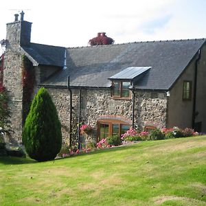 Tan Y Graig Bed & Breakfast Meifod Exterior photo