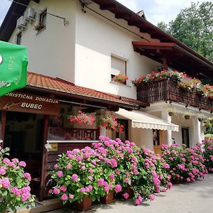 Domacija Bubec Villa Ilirska Bistrica Exterior photo