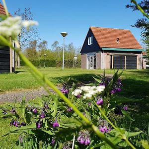 De Rakken Villa Woudsend Exterior photo