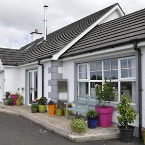 Longview House Bed & Breakfast Ballymoney Exterior photo