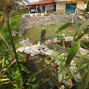 Vila Salamander Hotel Stanjel Exterior photo