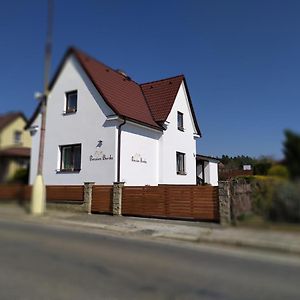 Penzion Burda Hotel Sepekov Exterior photo