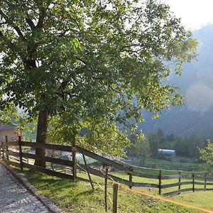 Agriturismo Athabaska Bed & Breakfast San Lorenzo Dorsino Exterior photo