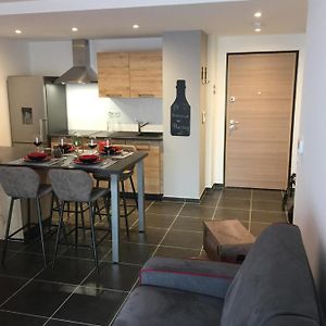 Le Riesling Colmar All Inclusive Free Parking Apartment Exterior photo