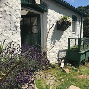 2 Luxury Yurts & Barn Kitchen Big Garden Sleeps 9 Villa Llanelian-yn-Rhos Exterior photo