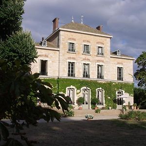 Chateau Des Charmes Bed & Breakfast Guereins Exterior photo