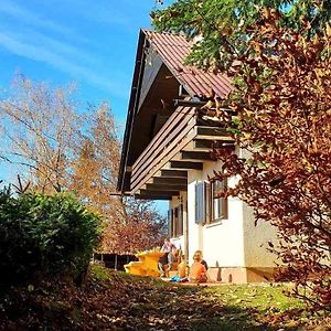 Pet & Family Friendly House Viktorija - House Near Golica With Triglav View Villa Jesenice Exterior photo
