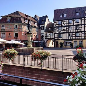 Au Kugelhopf Dore - Centre Historique Apartment Colmar Exterior photo