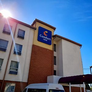 Comfort Inn Real San Miguel Exterior photo