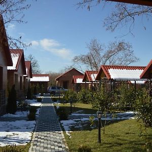 Kabalaka Cottages Gabala Exterior photo