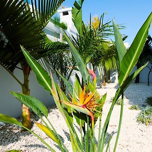 Nissini Blanco, 3 Bedroom Villa With Private Pool, 5 Min To The Beach Ayia Napa Exterior photo