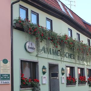 Ammerscher Bahnhof Hotel Muehlhausen  Exterior photo