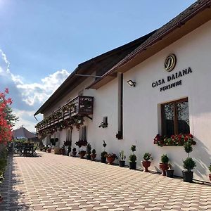 Casa Daiana Hotel Ocna Sugatag Exterior photo