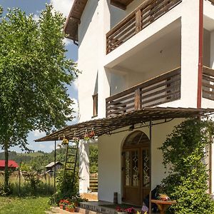 Pensiunea Magda Bed & Breakfast Campulung Moldovenesc Exterior photo