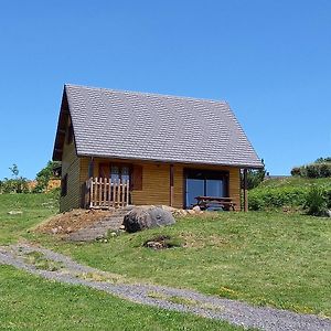 Chalet Sancy Villa Saint-Genes-Champespe Exterior photo