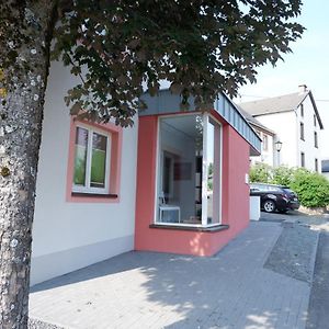 Ferienunterkunft Vulkaneifel - Baltes-Haus Apartment Brockscheid Exterior photo