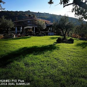 La Collina Dei Goti Agriturismo ,Azienda Agricola Villa Cerreta  Exterior photo