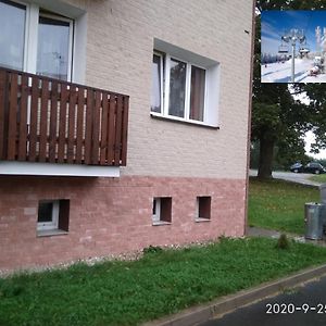 Plne Vybaveny 2+1Byt S Balkonem A Koji Pro Kola A Lyze. Apartment Rokytnice v Orlickych Horach Exterior photo