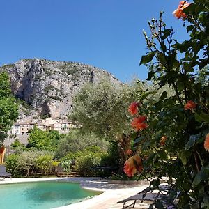 Bastide Des Oliviers Bed & Breakfast Moustiers-Sainte-Marie Exterior photo