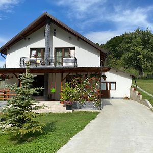 Casa Alex Hotel Curtea De Arges Exterior photo