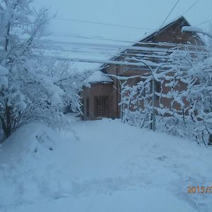 Karpatskiy Domik Izki Apartment Exterior photo