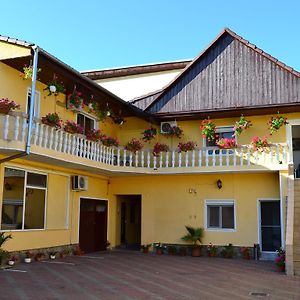 Pensiunea Alexander Hotel Arad Exterior photo