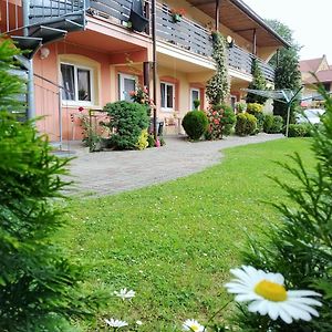 Penzion Areal Zamma Hotel Roznava Exterior photo