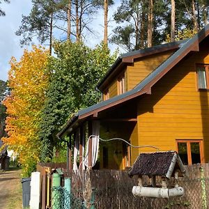 Lawendula Domek Nad Miedwiem Villa Morzyczyn  Exterior photo