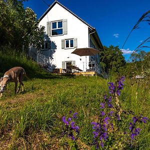 Freistehendes Ferienhaus Mit Kamin, Sauna, Atemberaubenden Blick Ins Tal, Mehrere Terrassen, 1500Qm Grundstuck 1,6M Hoch Eingezaunt Villa Gerabronn Exterior photo