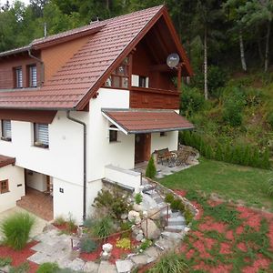 Ambiente Chalet Julienhoehe Villa Niederdorf  Exterior photo