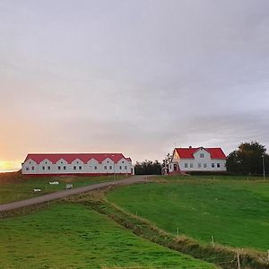 Helluland Guesthouse Saudarkrokur Exterior photo