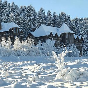 Pid Lisom Hotel Skhidnytsia Exterior photo