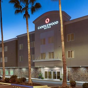 Candlewood Suites - Safety Harbor, An Ihg Hotel Exterior photo