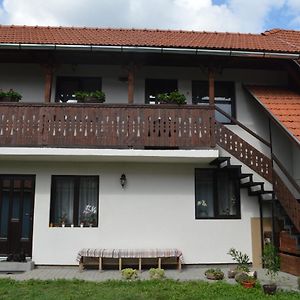 Havasi Gyopar Bed & Breakfast Praid Exterior photo